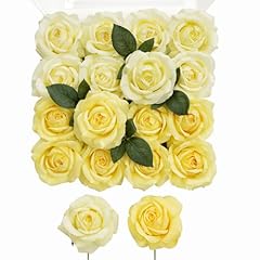 Light Yellow & Deep Yellow