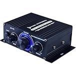 Ragyzity Power Amplifier Home Audio System, AK170 Amplifier DC 12V, Home Audio Stereo Hi-Fi Power Amplifier, Dual Channel Sound Stereo Receiver Box with LED for Speaker PC TV Cell Phone Car Vehicle