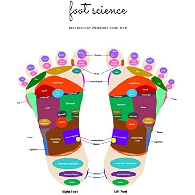 Reflexolgy Map of Pressure Points