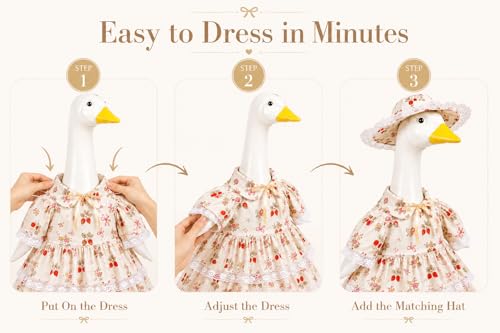 Porch Goose Outfits - image 3