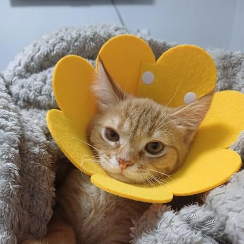 JEYORZY Halskrause Katze, Verstellbar Leichtgewicht Schutzkragen, Weich Schutzhalsband Kegelhalsbänder Genesungshalsband, Haustier Elisabethanischer für Katzen kleine Hunde(XS)