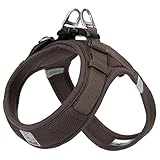 cocomall 喉に優しい犬ハーネス 2023最新 TRUE LOVE日本授権店 犬用ハーネス 犬用胴輪 ドッグ ペット用品 ハーネスリード 3M反射材料 訓練 ナイロン製 超型犬、小型犬、中型犬に向け 通気性 調節可能 夏に対応 (S, ブラウン)