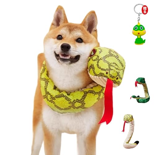 [VIYUFENST]   ̏o ʂ wr RXv   N 蕨 L   ^ ^ ^ ybg 2025N x N N  ʂ XJ[t XgX ނ nEB NX}X