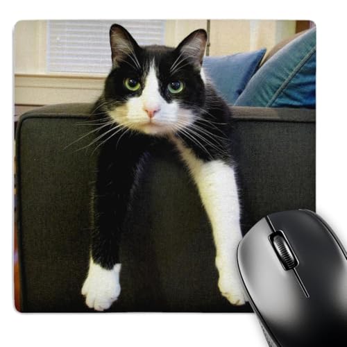 Tapis de souris chat noir et blanc cadeau original pour collègue