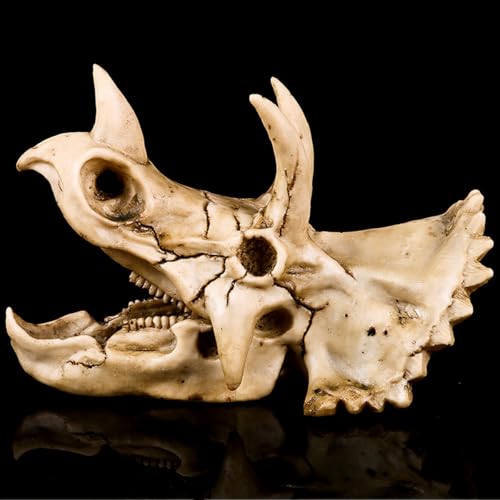 VOANZO Triceratops Schädel Modell Replik Harz Dinosaurier Zahnschädel Fossil Fotografie Requisiten Pädagogisches Werkzeug Home Ornament