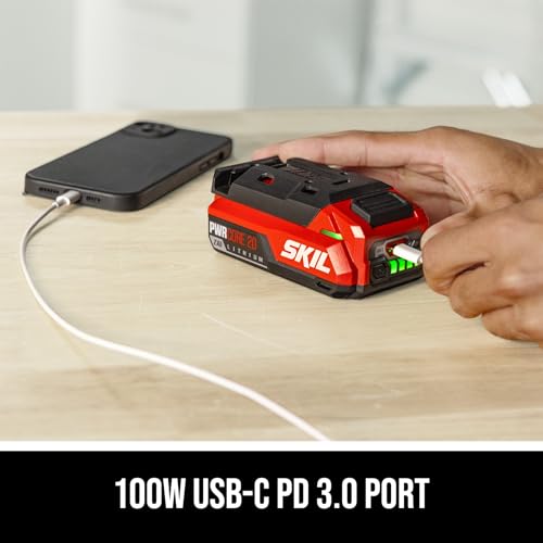 Image of SKIL 20V 2.0Ah USB Type-C Battery BY5100B-00