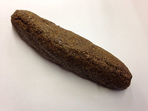 Long Straight Joke Dog Poo~Poop~Mess~Turd ~ Fake Imitation