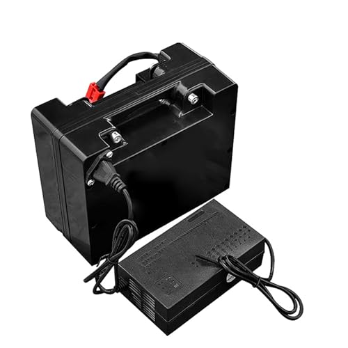 TGHY Batería de Litio para Silla de Ruedas eléctrica de 24 V, 12 Ah, 15 Ah, 18 Ah, 20 Ah, 25 Ah, 30 Ah, 35 Ah y 40 Ah, con Cargador para Silla de Ruedas Plegable de 0 a 1000 W.,24v18ah