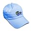 Light Blue Design Only