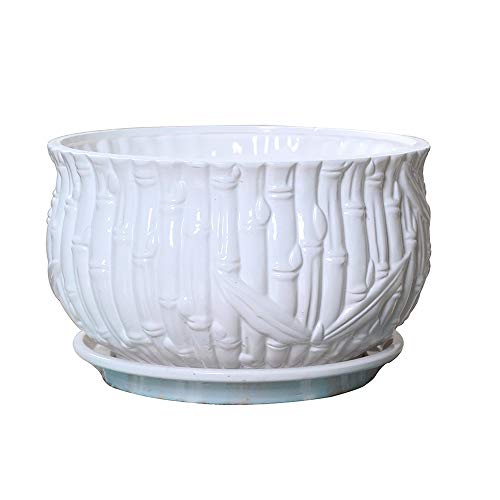 Pot en céramique avec vase de palette pour petits cactus et décoration maison