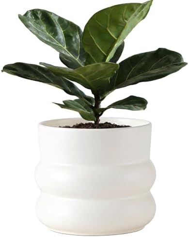 6 Inch Plant Pot,Ceramic Planter Pot with Drainage Hole,Indoor Pl...