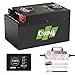 48 Volt Lithium Battery 120Ah for Golf Cart with 18A Charger 48V LiFePO4 Battery with Touch Monitor & Mobile, Built-in 200A BMS, Perfect for Golf Carts