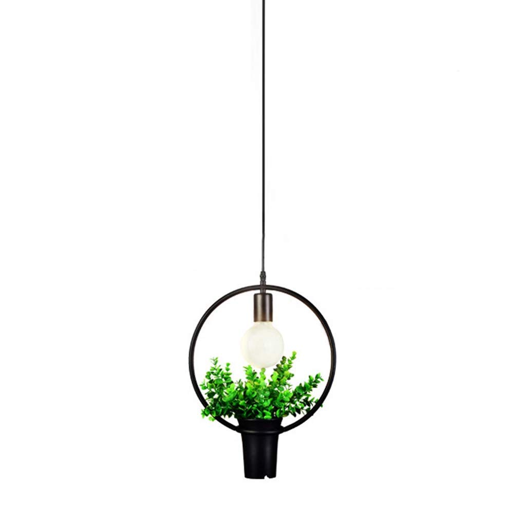 Candelabro moderno de techo para renovar la decoración con plantas de tu negocio
