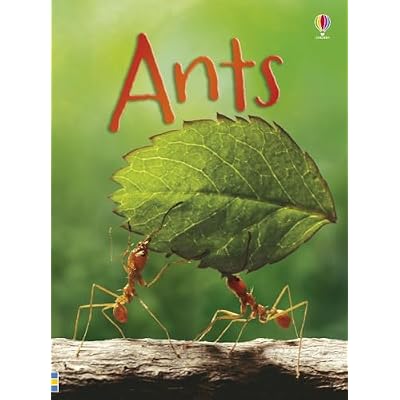 Ants