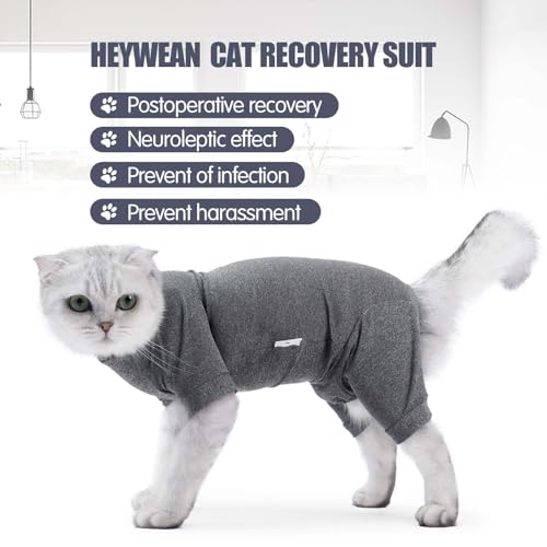 Katzenbody Nach Op Katzen Body Für Katzen Operation Katzenanzug Nach Der Operation Anti-Leck-Anzug Langärmlige Einteiler Katzenbekleidung Medizinische Haustierkleidung Zur Genesung