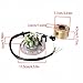 Magnetic Stator Rotor Kit 140cc 150cc 160cc Compatible With Automotive Motorcycle Parts