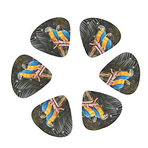 Médiators Guitare 12-Pack Perroquets Médiators Guitare Électrique Guitare Acoustique Diverses Guitares - Les Beatles, Paul McCartney, John Lennon, RIngo Starr, George Harrison Médiators Guitare 12-Pack Perroquets Médiators Guitare Électrique Guitare Acoustique Diverses Guitares