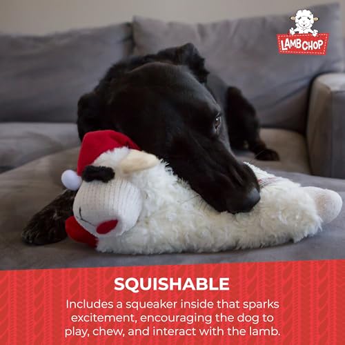 Multipet Lamb Chop Dog Plush Toy - Squeaky Dog Toy - Extra Soft Plush Dog Toy - Stuffed Animal Dog Toy for Cuddling & Playing - Image 5