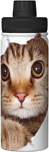 ねこ 猫 猫柄 おもしろ(1) アニメ 水筒 真空断熱 保温 保冷 スポーツボトル 人気 ステンレスボトル スポーツ飲料対応 漏れない 直飲み530ml 男の子 女の子 おしゃれ 大人 子供 グッズ キャラクター 雑貨 zj141