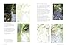 How to Draw a River: From the Source to the Sea: A Step-by-Step Course for the Nature Artist