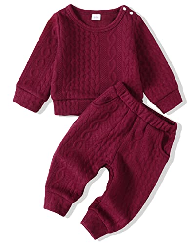 Image of Renotemy Newborn Infant Baby Girl Clothes Outfits Fall Winter Long Sleeve Sweatshirts Pants Cute Baby Girl Outfits Set