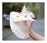caracolas de mar decoracion ¡Incluso en casa, es como ir a la playa!También se pueden poner en el acuario, con arena fina, hierba de agua, rocalla, dar a los peces un paraíso tranquilo y darles un hogar amoroso.