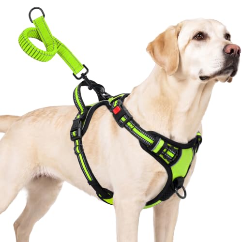 Taglory No Pull Dog Harness for Large Dogs, Bungee