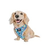 Sassy Woof Dog Adjustable Harness - The Powerpuff Girlsâ„¢ (Blue) - XS, Breathable Mesh, No Pull Design with Two D-Rings, Patented Design, Perfect for Small Dogs and Puppies - Officially Licensed