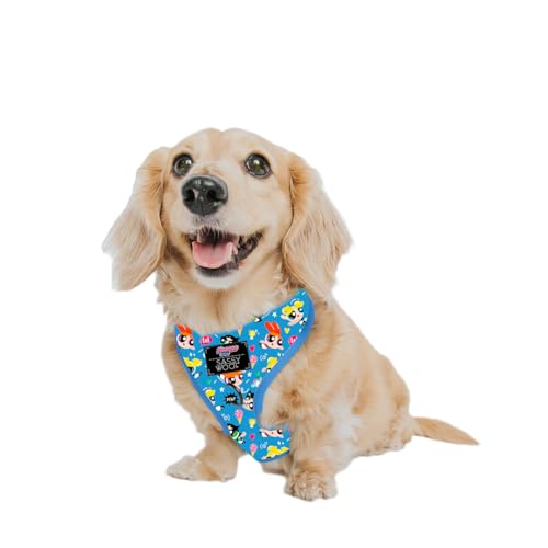 Sassy Woof Dog Adjustable Harness - The Powerpuff Girlsâ„¢ (Blue) - XS, Breathable Mesh, No Pull Design with Two D-Rings, Patented Design, Perfect for Small Dogs and Puppies - Officially Licensed