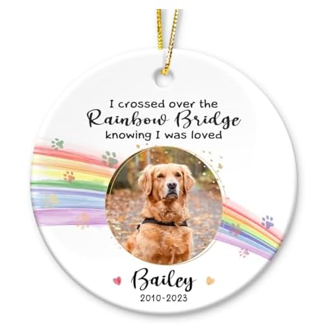 KilyHome Rainbow Bridge Pet Memorial Ornament - Ceramic Keepsake to Hang on Christmas Tree - Honor & Remember Your Beloved Pet’s Memory Cover