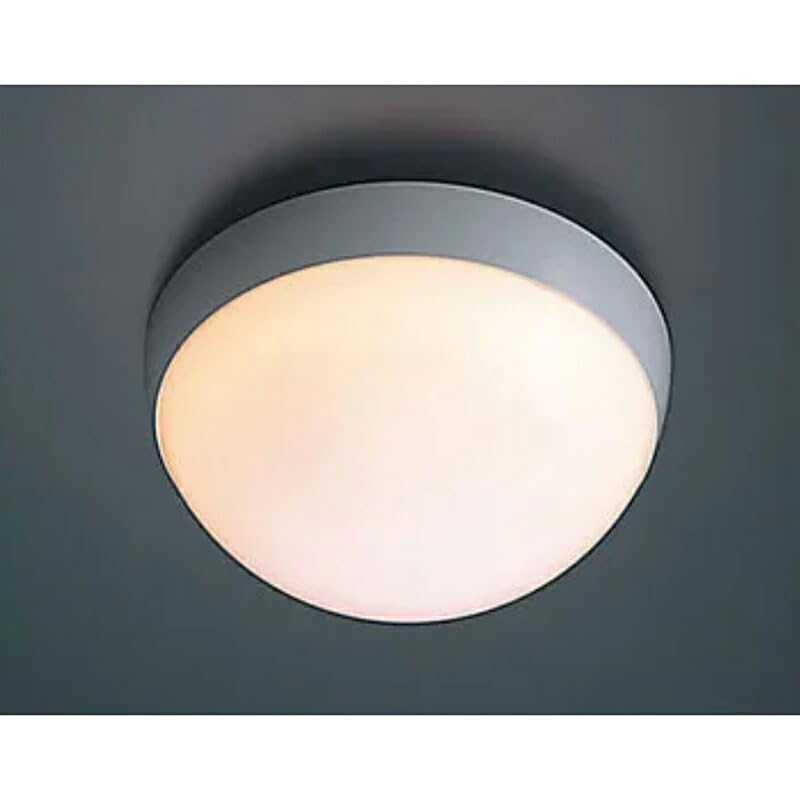 Amazon.co.jp: LIXIL（INAX） 天井付け照明用グローブ 【品番：LW-D6