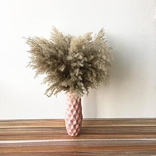 Dorata Tall 19 22a A A A A A Pampas Grass Indefinitely Flowers W Decor Dried