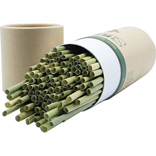 Pitillos biodegradables de bambú natural x100 miniatura 2