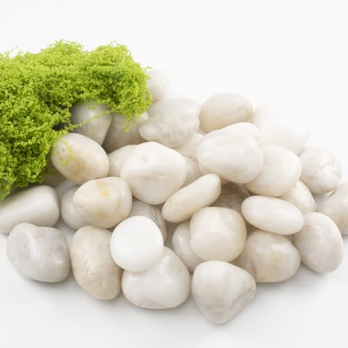 Image of 20lbs River Rocks - 1-2Inch Decorative Rocks for Potted Plants, River Rocks for Aquariums, and White Rocks for Landscaping (Weight : 20 LB, White)