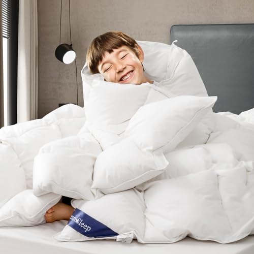 OCEANSLEEP Goose Down Comforter Queen Size - All Season White Fluffy Feather Duvet Insert with Tabs, 780 Fill Power Weight for Luxury Hotel (Queen (U.S. Standard), White/All Season)