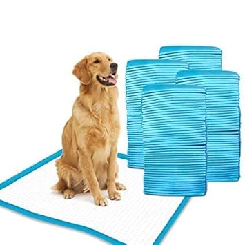 Patch & Marshall 100 Pieces XL 90 x 60cm Pee Pads for Dogs Pet and Puppy Training Pads?Water Proof Dog Pee pad- 60x90 cm, 23.6 x 35.4 in - Blue