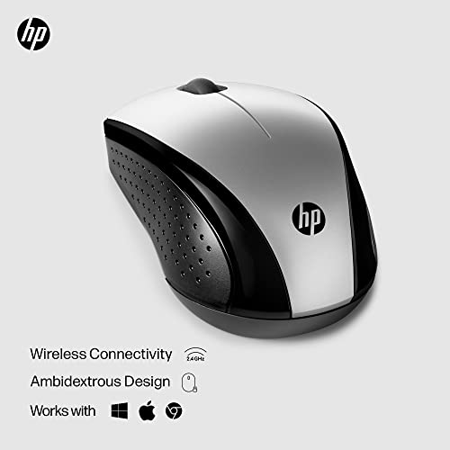 Image of HP X3000 G3 Wireless Mouse Silver, up to 15-Month Battery,Scroll Wheel, Side Grips for Control, Travel-Friendly, Blue LED, Powerful 1600 DPI Optical Sensor, Win XP,8, 11 Compatible (683N9AA#ABL)