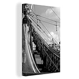 Rosa Bonheur (1822-1899) Nfrench Painter Original Carte-De-Visite Photograph Poster Print by (24 x 36)