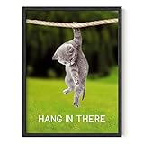 HAUS AND HUES Hang in There Cat Poster - Funny Cat Wall Art Cute Posters Motivational Art Print Inspirational Posters Hang in There Poster Unframed 12' x 16'