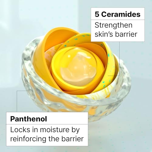 Dr.Jart+ Ceramidin Skin Barrier Korean Face Cream Moisturizer with Ceramides and Panthenol | Korean Skin Care | Travel Size, 0.5 Fl Oz