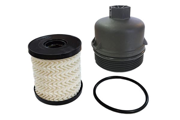 3RG INDUSTRIAL   Kit Tapa Y Filtro Aceite   OEM 9818914980 + 1103L7   Piezas para Coche Recambios Motor y Otras Partes de Vehículo   Compatible con los Distintos Modelos de Coche.