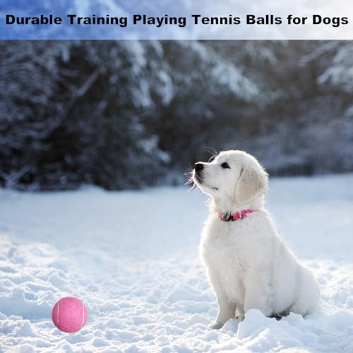 HPWFHPLF Tennis Balls, 3 Pack Advanced Training & Practice Tennis Balls for Beginners, High Visibility Pet Dog Playing Balls (Orange)