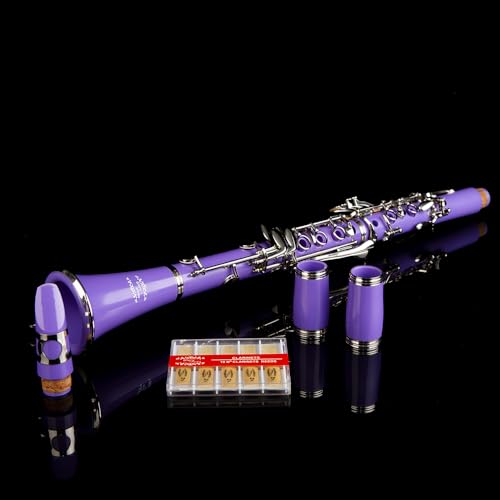 Image of Glory GLY-CLAPUR Professional Ebonite Bb Clarinet with 10 Reeds, Stand, Hard Case, Cleaning Cloth, Mouthpiece Brush and Pad Brush,Purple /Silver