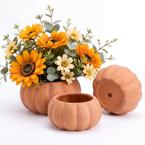Bokon 3 Pack Pumpkin Planters, 2 Sizes, Drainage Holes, Natural Terracotta