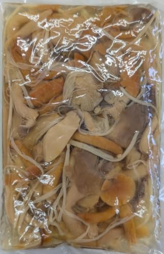 Ɩp ܍ʑ  ݖ 1000giŌ`650gj×15o@ؐH yؗp̂~bNX