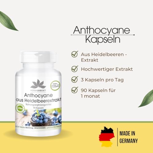 Heidelbeerextrakt Herba Direkt mit 25% Anthocyane – 90 Kapseln