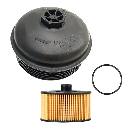 Partsline | Filtre à huile avec couvercle équivalent à 152082327R A2811800010 MQ004801 1520800Q1E 8660003780