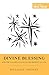 Divine Blessing and the Fullness of Life in the Presence of God (Short Studies in Biblical Theology)