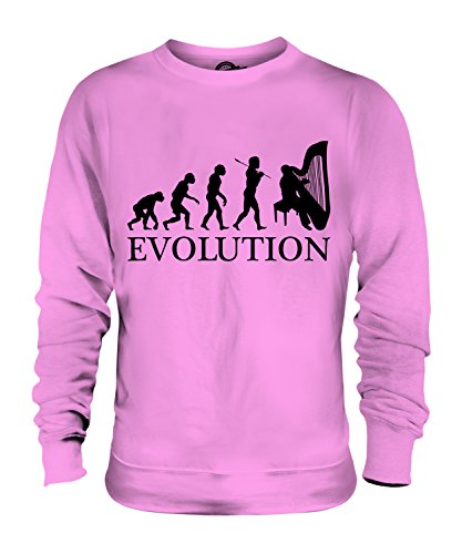 Sweat Harpe Évolution vêtement unisexe original à offrir à un musicien harpiste