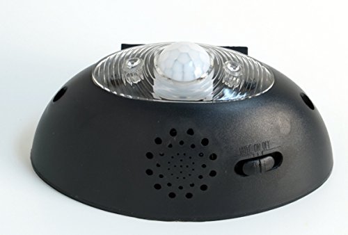 5" Eyewatch Rechargable Usb Indoor Motion Sensor Detector Led Light With Alarm, Flashing Lights And Voice Warning #TOP1